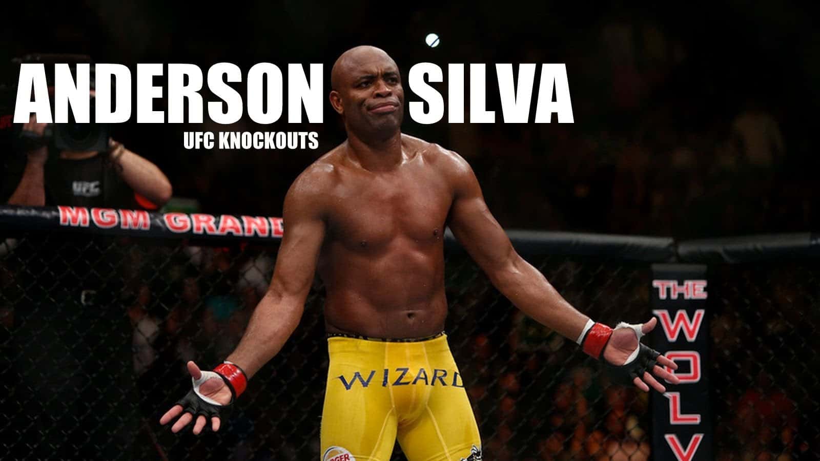 Anderson Silva vs James Irvin MMA Full Contact