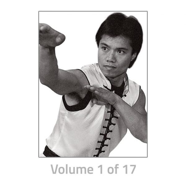 Choy Lay Fut Kung Fu Series