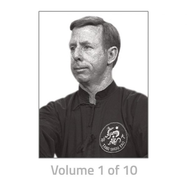 Authentic Hsing I by Sifu James McNeil Series