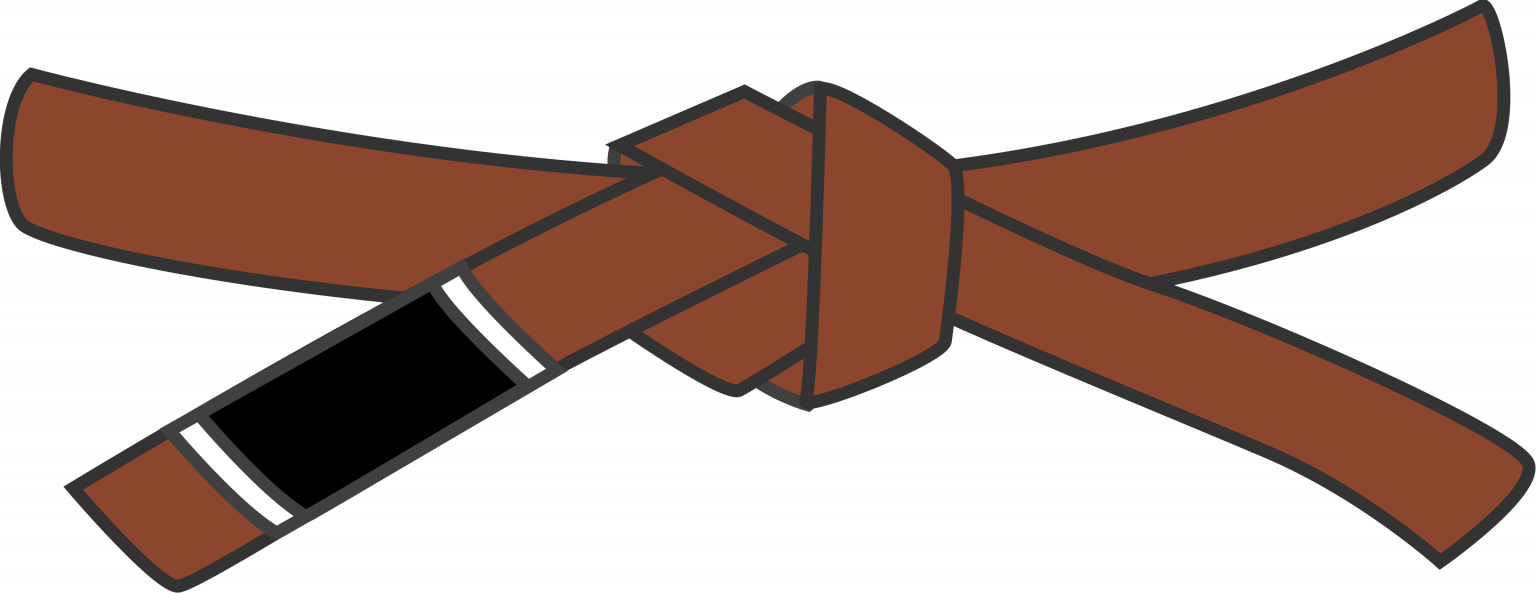 BJJ Belt System A Comprehensive Guide MMA Full Contact