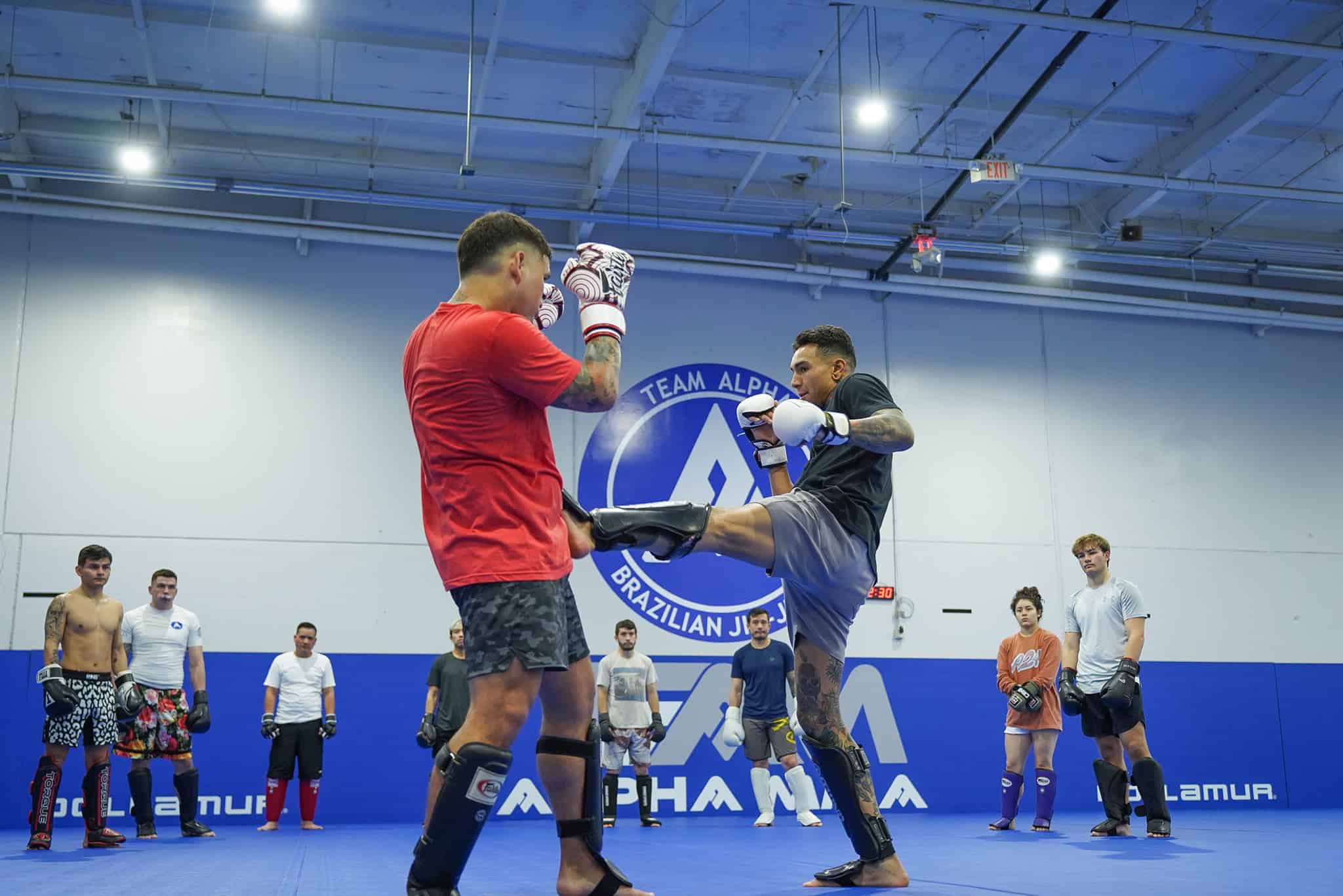The 10 Best MMA Gyms in the World: Where Champions Are Made - MMA Full ...