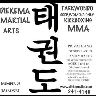1023-diekema-martial-arts