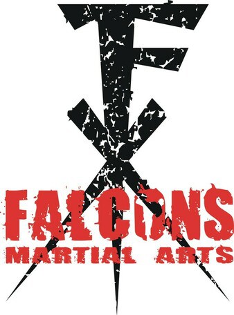 10566-falcons-martial-arts