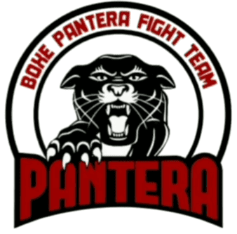 10762-boxe-pantera-fight-team