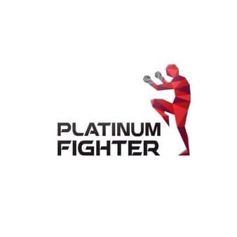 2076-platinum-fighter