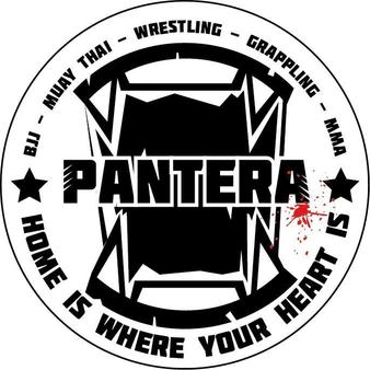 2626-pantera-fighter