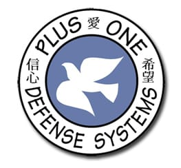 3504-plus-one-defense