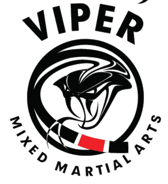 3555-viper-martial-arts