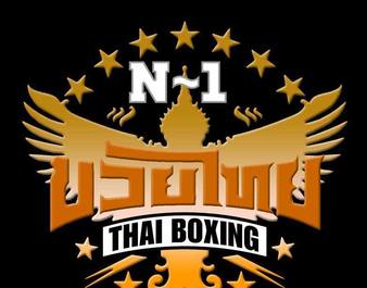 393-n-1-thai-boxing-academy