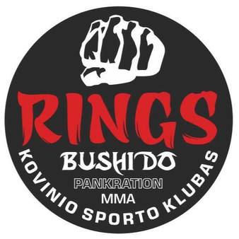 7976-rings-gym