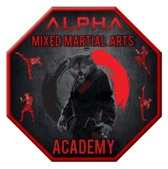 8965-gi-do-mixed-martial-arts-academy