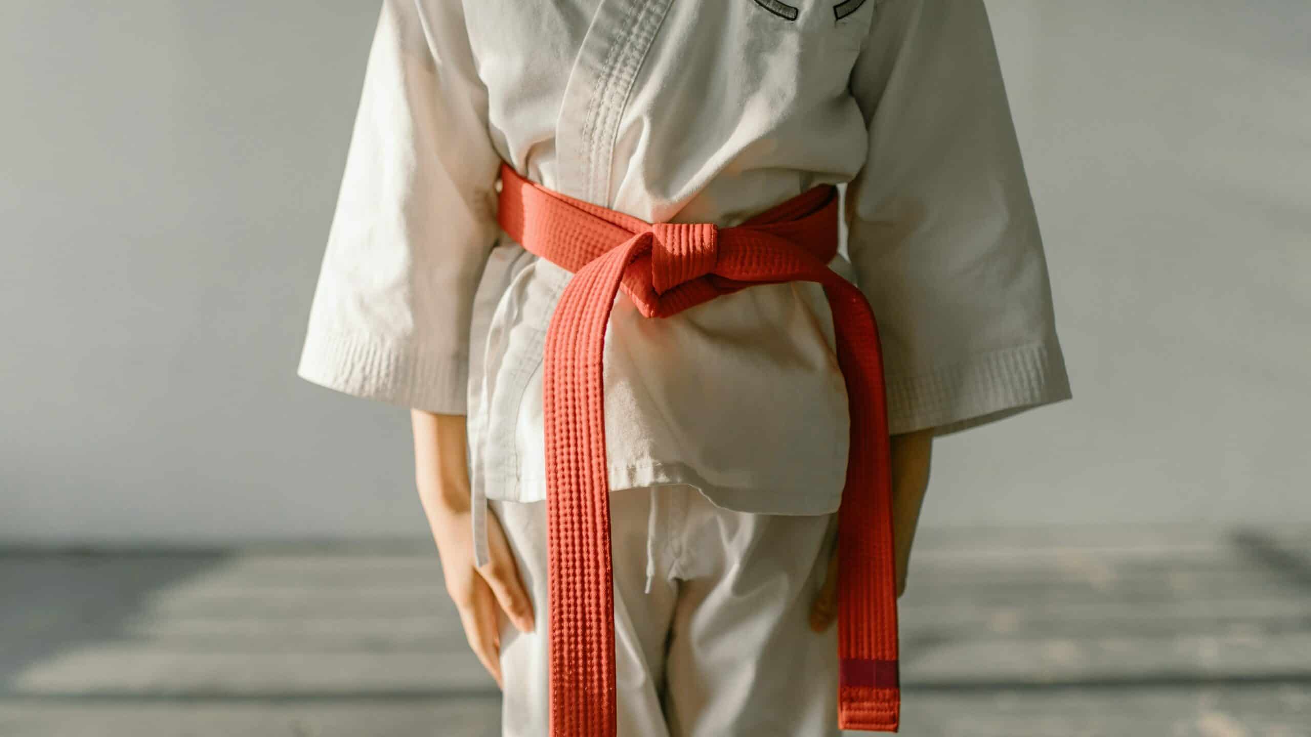Understanding the Taekwondo Belt Ranking System MMA Full Contact